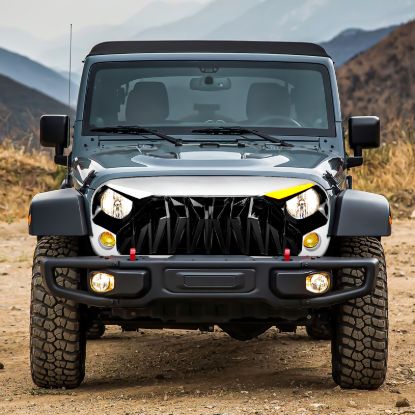Picture of AMERICAN MODIFIED Grille - AMJPAA00147