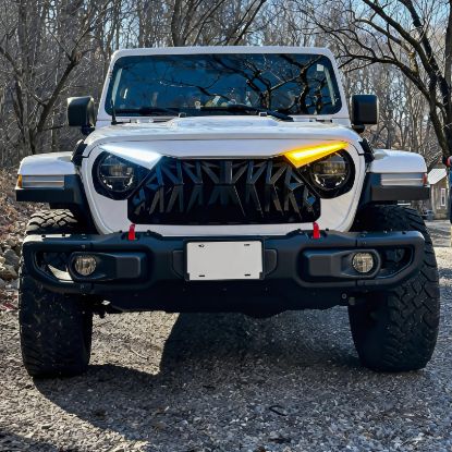 Picture of AMERICAN MODIFIED Grille - AMJPCA00141