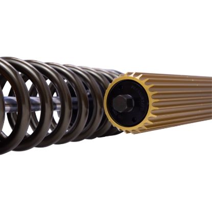 Picture of Bilstein Suspension Shock Absorber and Coil Spring Assembly - 41-338148