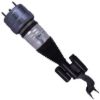 Picture of Bilstein Air Suspension Strut - 44-289300