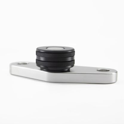 Picture of Detroit Speed - Archived Tailgate Hinge Kit - 012013DS