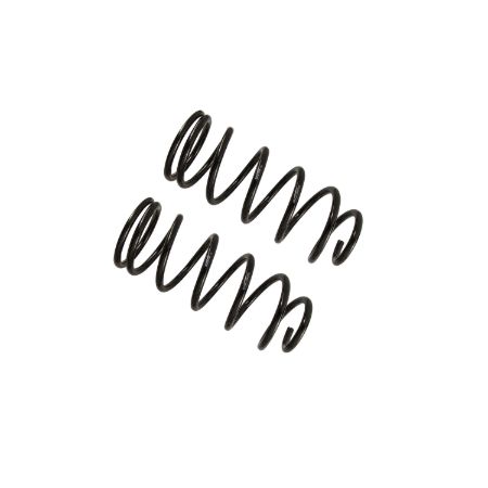 Picture for category Coil Spring Set