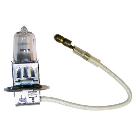 Picture for category Fog Light Bulb
