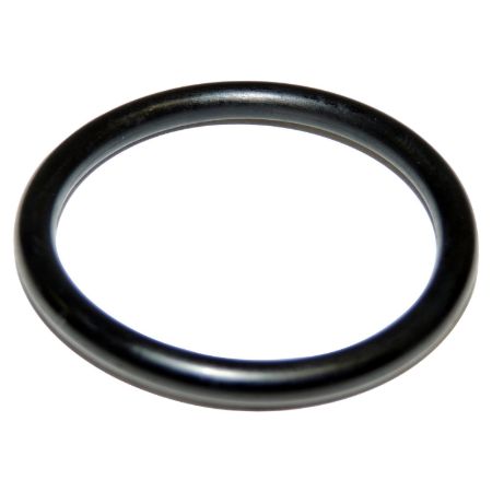 Picture for category Engine Timing Cover O-Ring