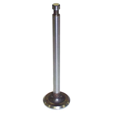 Picture for category Engine Intake Valve
