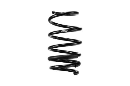 Picture of Eibach Coil Spring Lowering Kit - E10-15-101-01-22