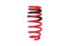 Picture of Eibach Coil Spring Lowering Kit - E10-27-004-01-22