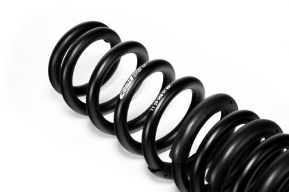 Picture of Eibach Coil Spring Lowering Kit - E10-59-008-01-22