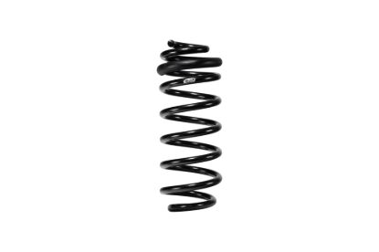Picture of Eibach Coil Spring Lowering Kit - E10-82-102-01-22