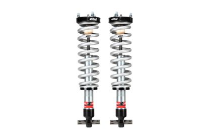 Picture of Eibach Coilover Spring and Shock Assembly - E86-35-062-04-22