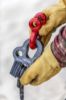 Picture of Factor 55 Winch Shackle - 00225-06