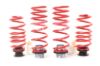 Picture of H&R Special Springs LP Coil Spring Lowering Kit - 23007-1