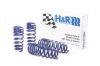 Picture of H&R Special Springs LP Coil Spring Lowering Kit - 28768-1