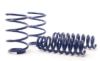 Picture of H&R Special Springs LP Coil Spring Lowering Kit - 28790-6