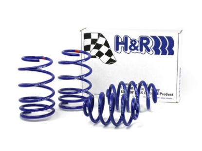 Picture of H&R Special Springs LP Coil Spring Lowering Kit - 29824-1