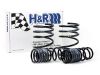 Picture of H&R Special Springs LP Coil Spring Lowering Kit - 50148