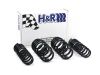 Picture of H&R Special Springs LP Coil Spring Lowering Kit - 50396