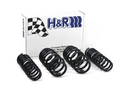 Picture of H&R Special Springs LP Coil Spring Lowering Kit - 50396