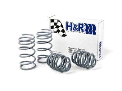 Picture of H&R Special Springs LP Coil Spring Lowering Kit - 50404-55