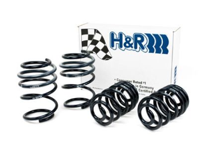 Picture of H&R Special Springs LP Coil Spring Lowering Kit - 50414