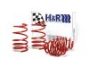 Picture of H&R Special Springs LP Coil Spring Lowering Kit - 50424-88