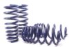 Picture of H&R Special Springs LP Coil Spring Lowering Kit - 50435