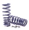 Picture of H&R Special Springs LP Coil Spring Lowering Kit - 50435-4