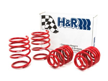 Picture of H&R Special Springs LP Coil Spring Lowering Kit - 50484-88