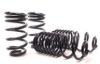 Picture of H&R Special Springs LP Coil Spring Lowering Kit - 50707