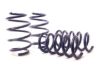 Picture of H&R Special Springs LP Coil Spring Lowering Kit - 50760
