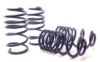 Picture of H&R Special Springs LP Coil Spring Lowering Kit - 50776-2