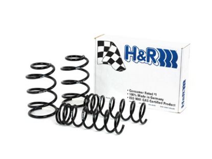 Picture of H&R Special Springs LP Coil Spring Lowering Kit - 51643