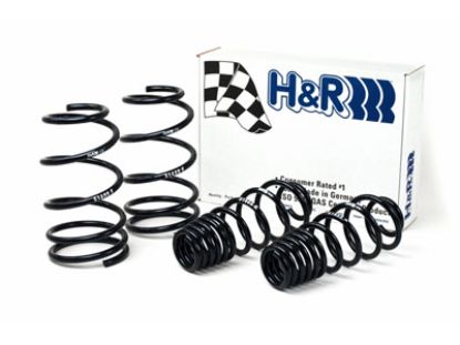 Picture of H&R Special Springs LP Coil Spring Lowering Kit - 51655