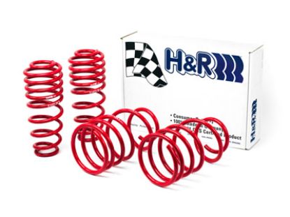 Picture of H&R Special Springs LP Coil Spring Lowering Kit - 51655-88