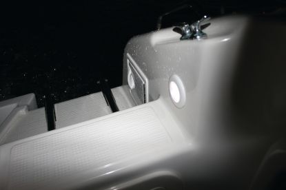 Picture of Hella Courtesy Light - 980507241