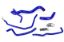 Picture of HPS Performance Radiator Coolant Hose Kit - 57-1479-BLUE