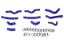 Picture of HPS Performance Radiator Coolant Hose Kit - 57-1523-BLUE