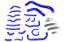 Picture of HPS Performance Radiator Coolant Hose Kit - 57-1914-BLUE