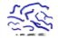 Picture of HPS Performance Radiator Coolant Hose Kit - 57-1998-BLUE