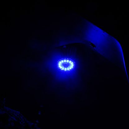 Picture of KC HiLiTES Fog Light Lens - 4404