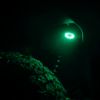 Picture of KC HiLiTES Fog Light Lens - 4415