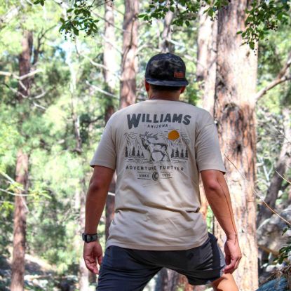 Picture of KC HiLiTES T-Shirt - 70649