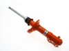 Picture of Koni Suspension Strut - 8750 1009