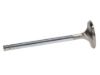 Picture of Manley Engine Exhaust Valve - 10077-8