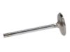 Picture of Manley Engine Intake Valve - 10476-8
