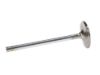 Picture of Manley Engine Exhaust Valve - 10717-1
