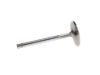 Picture of Manley Engine Intake Valve - 10766-1