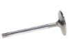 Picture of Manley Engine Intake Valve - 10776-8