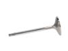 Picture of Manley Engine Intake Valve - 11150-16