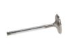 Picture of Manley Engine Intake Valve - 11166-12